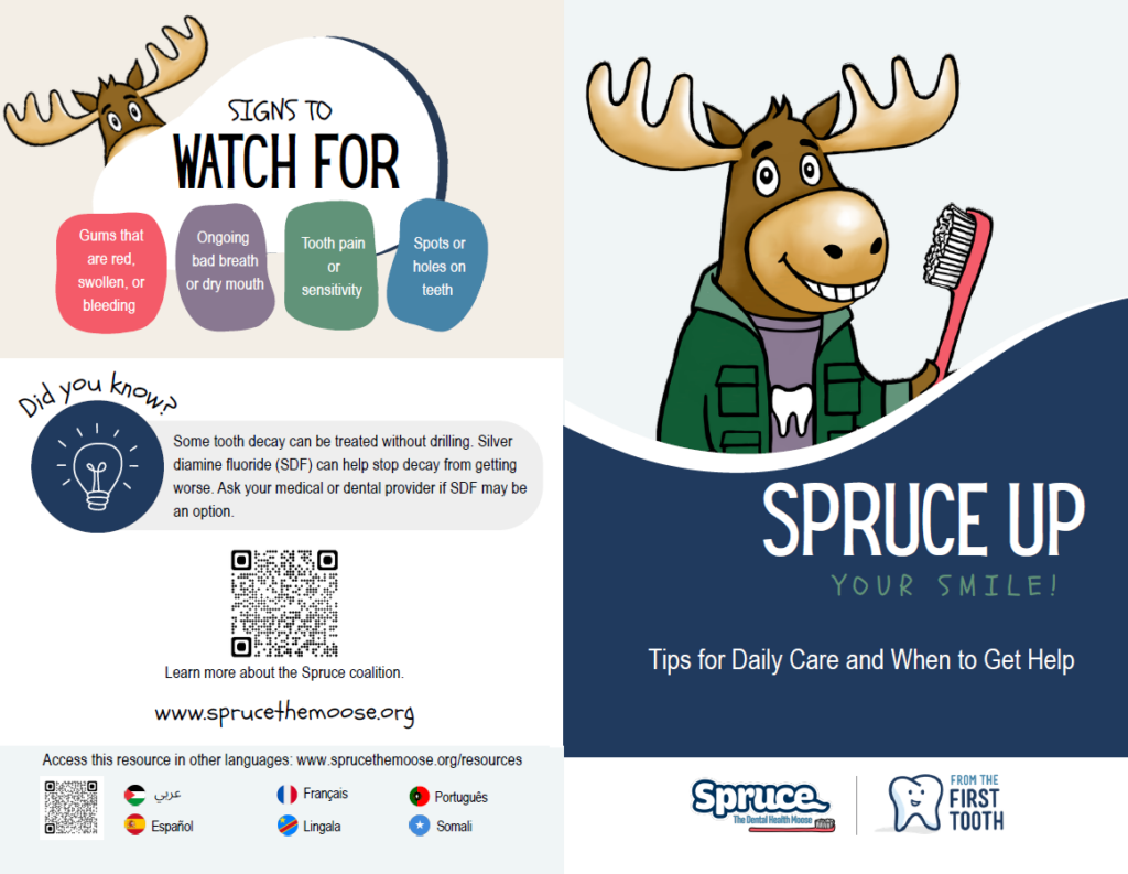 Image of "Tips for Daily Care Bifold" resource